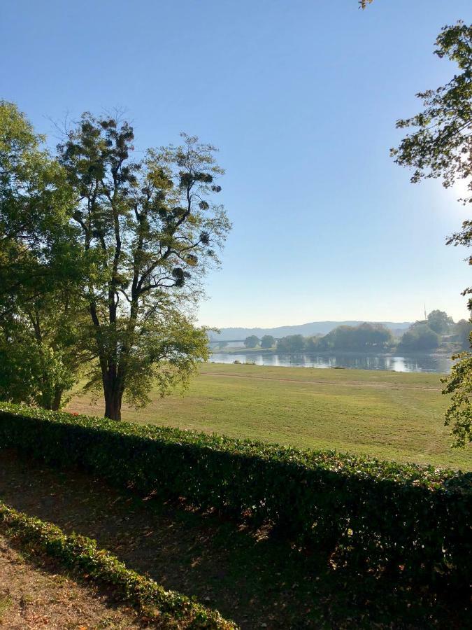Ferienwohnung Am Wasser Villa Graf Von Pfeil 德累斯顿 外观 照片