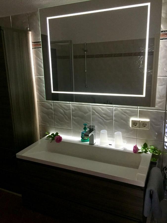 Ferienwohnung Am Wasser Villa Graf Von Pfeil 德累斯顿 外观 照片